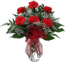 6 Red Carnations Vase 6 Red Carnations Vase