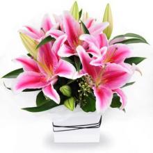 Pink lilies Basket Pink lilies Basket